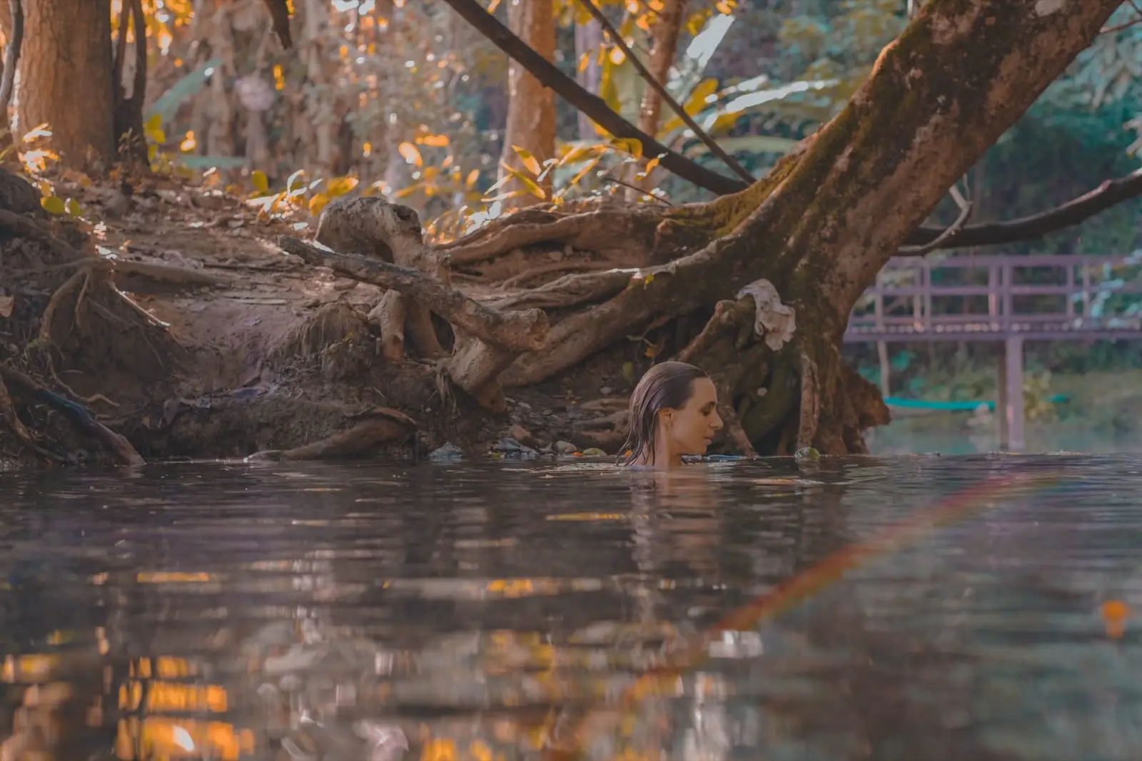 Phototherapy gallery — a moment of introspection